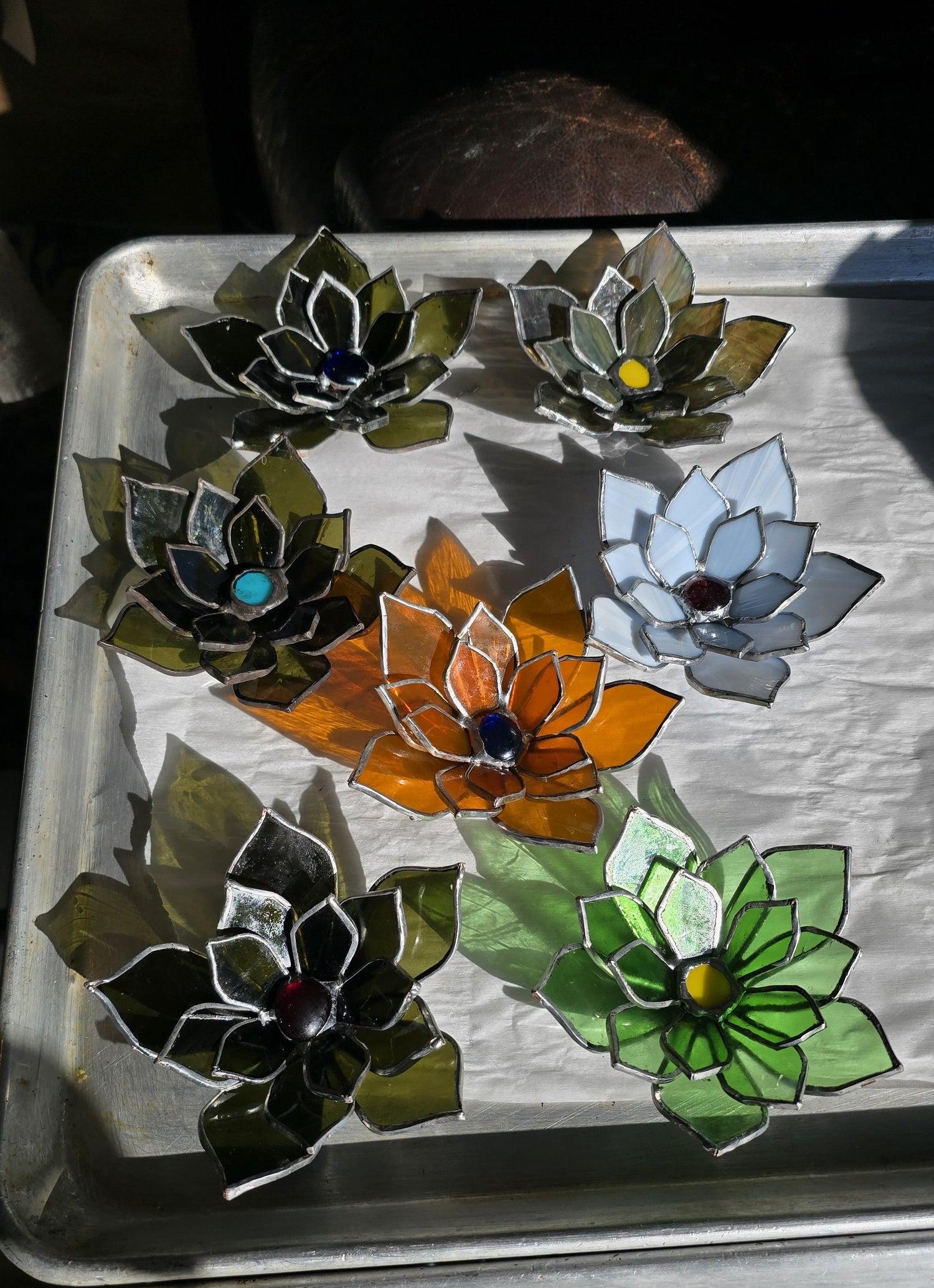 Succulents
